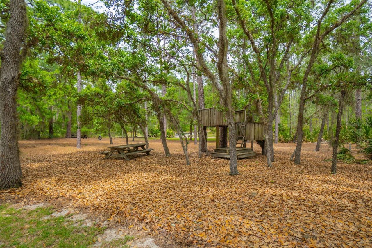 6479 W Candier Court, Dunnellon, FL 34433 Photo