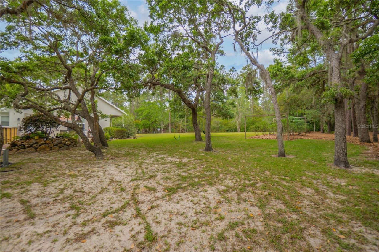 6479 W Candier Court, Dunnellon, FL 34433 Photo