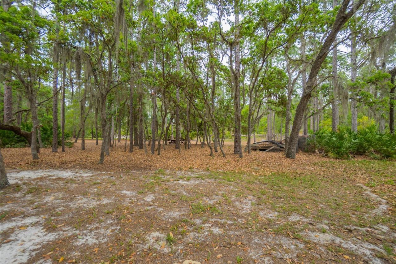 6479 W Candier Court, Dunnellon, FL 34433 Photo
