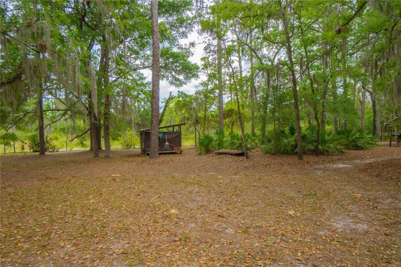 6479 W Candier Court, Dunnellon, FL 34433 Photo