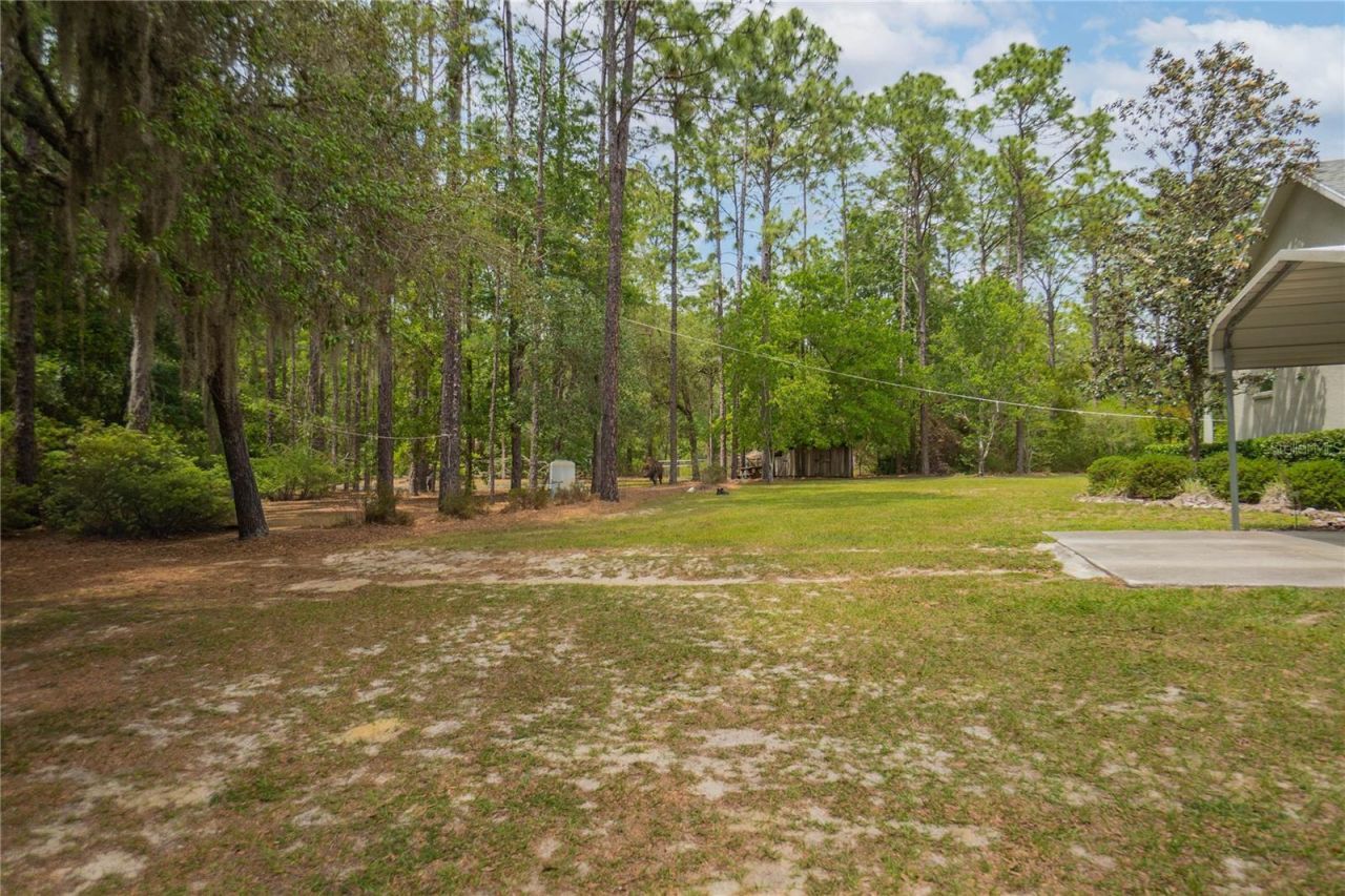 6479 W Candier Court, Dunnellon, FL 34433 Photo