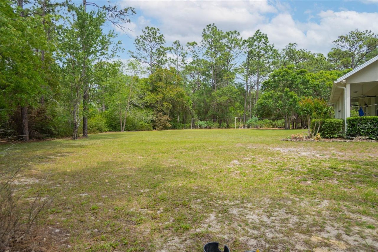 6479 W Candier Court, Dunnellon, FL 34433 Photo