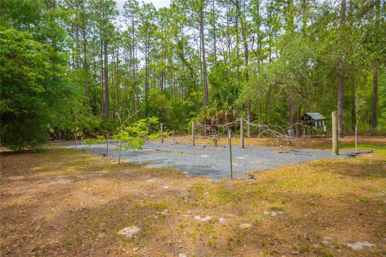 6479 W Candier Court, Dunnellon, FL 34433 Photo