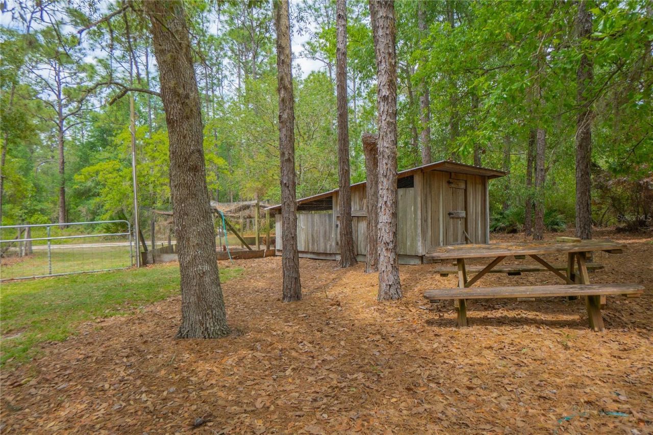 6479 W Candier Court, Dunnellon, FL 34433 Photo