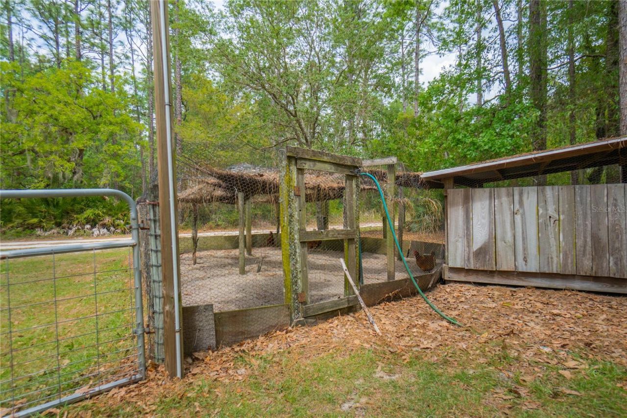6479 W Candier Court, Dunnellon, FL 34433 Photo