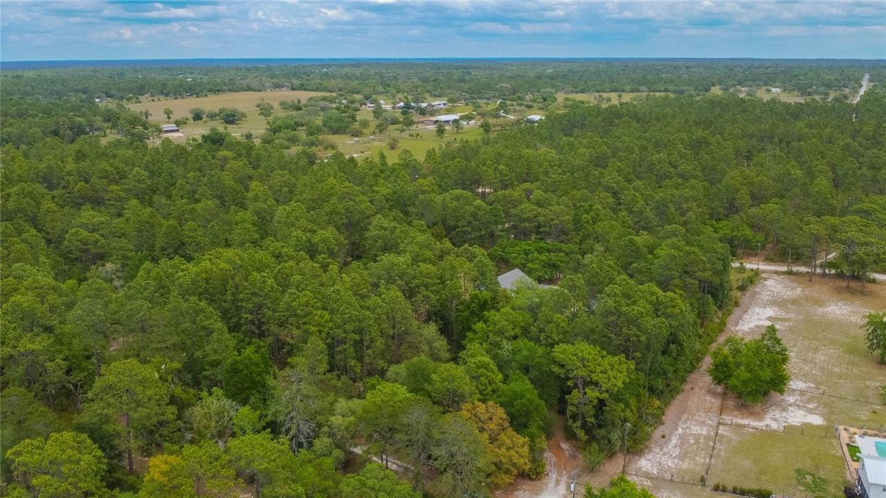 6479 W Candier Court, Dunnellon, FL 34433 Photo