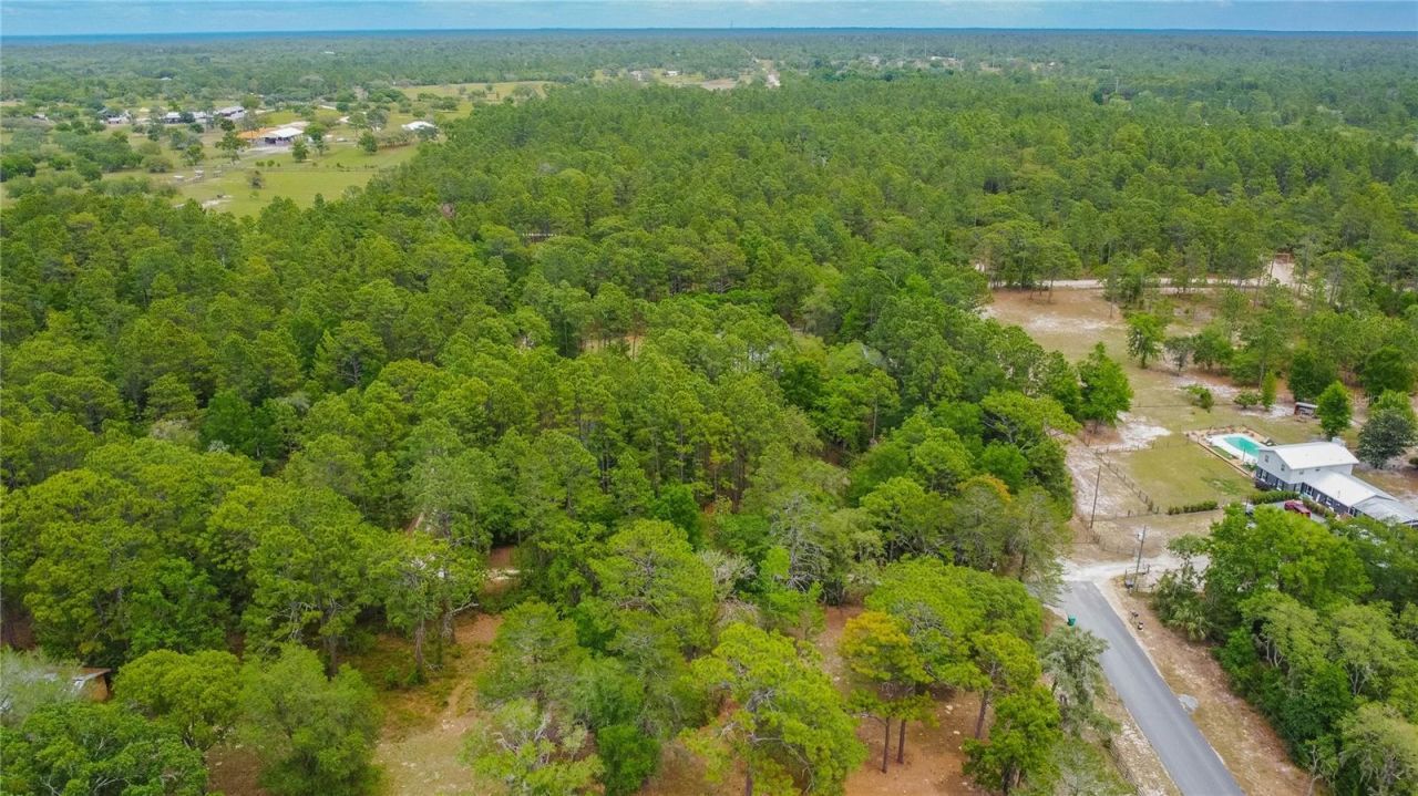6479 W Candier Court, Dunnellon, FL 34433 Photo