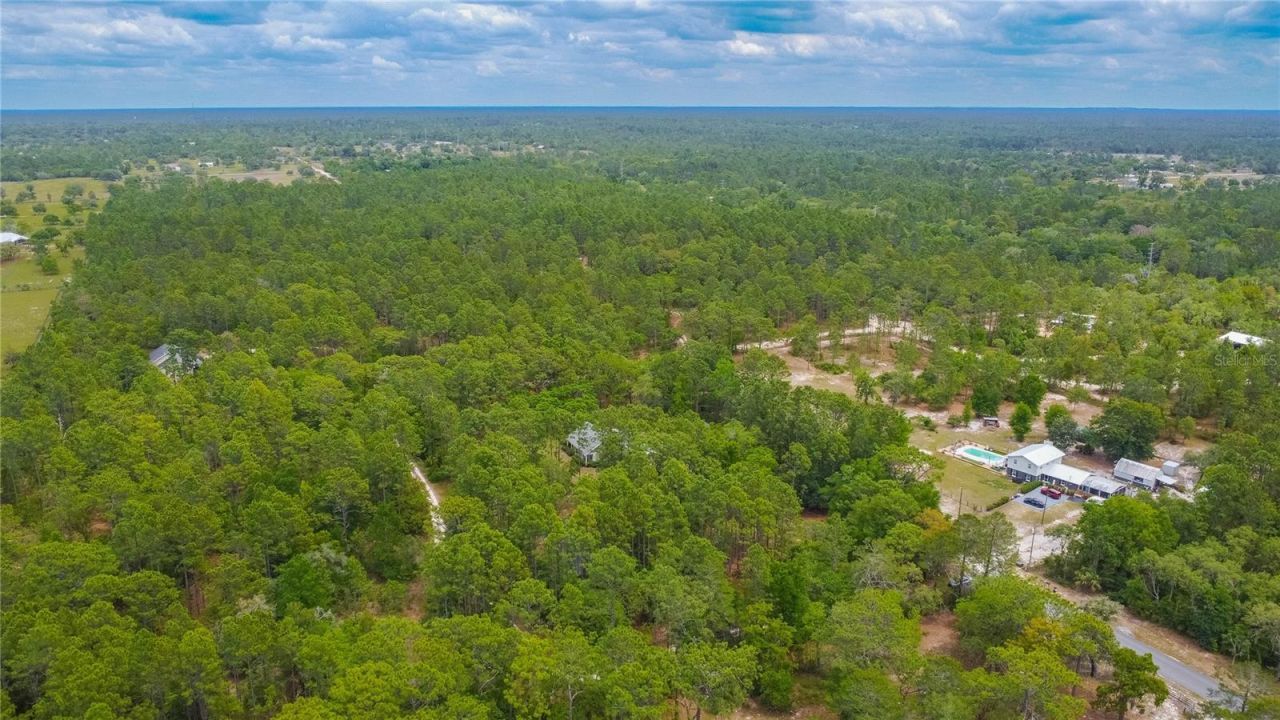 6479 W Candier Court, Dunnellon, FL 34433 Photo