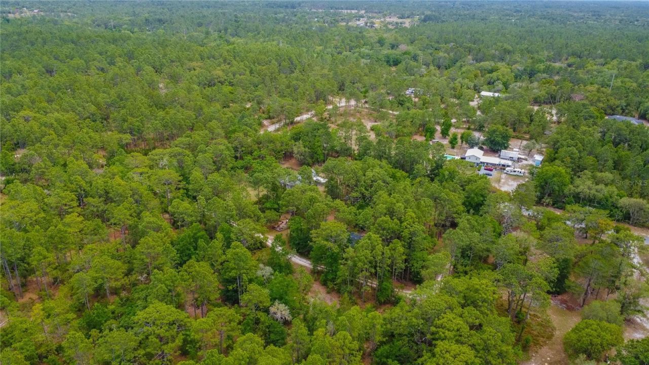 6479 W Candier Court, Dunnellon, FL 34433 Photo