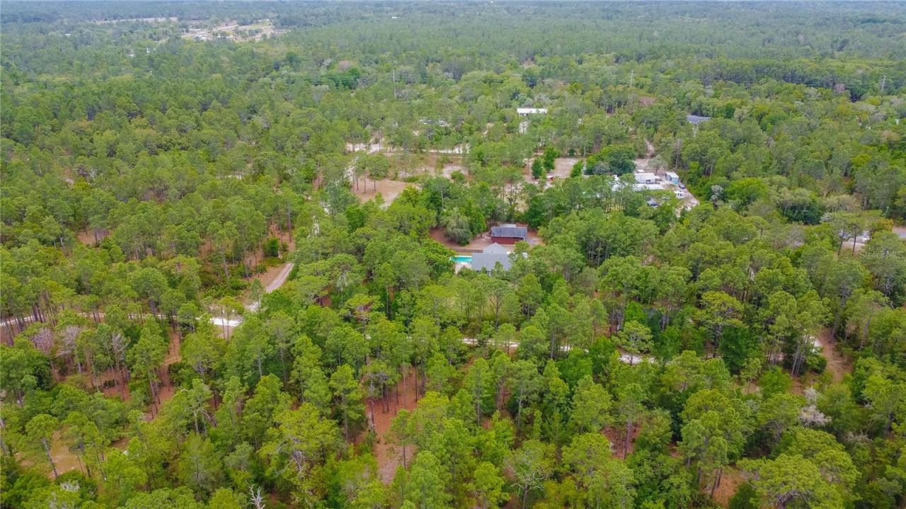 6479 W Candier Court, Dunnellon, FL 34433 Photo