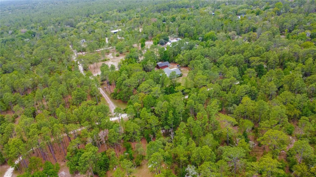 6479 W Candier Court, Dunnellon, FL 34433 Photo