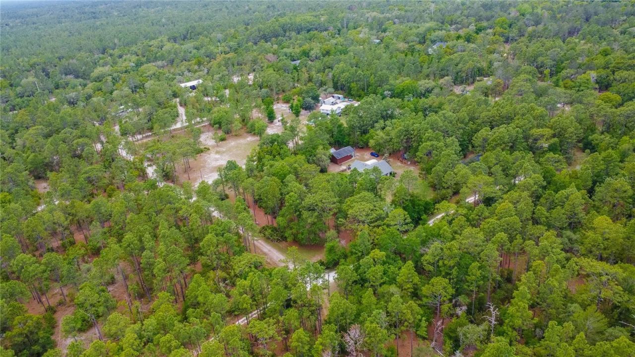 6479 W Candier Court, Dunnellon, FL 34433 Photo