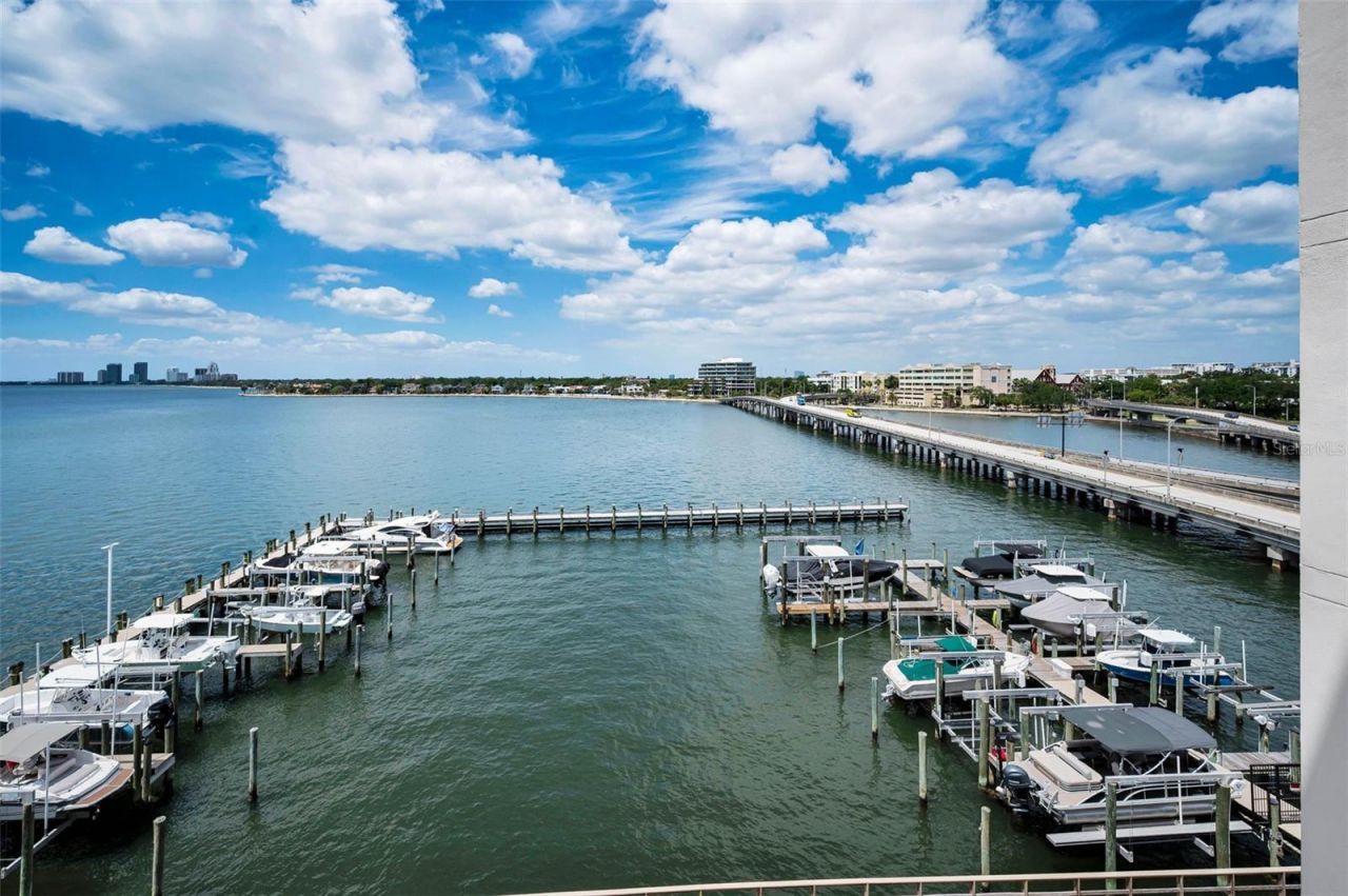 2 Adalia Avenue, Unit 605, Tampa, FL 33606 Photo