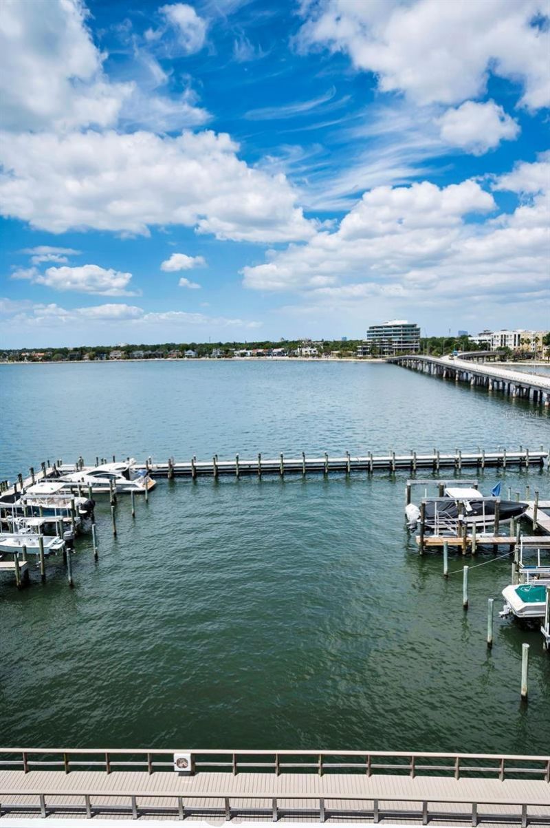 2 Adalia Avenue, Unit 605, Tampa, FL 33606 Photo