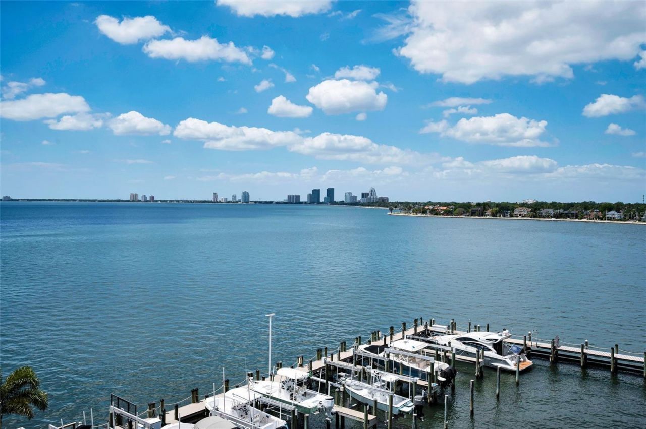 2 Adalia Avenue, Unit 605, Tampa, FL 33606 Photo