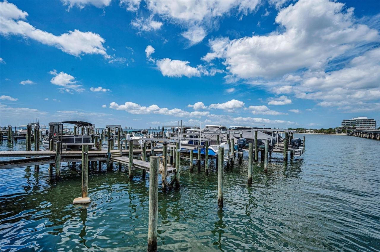 2 Adalia Avenue, Unit 605, Tampa, FL 33606 Photo