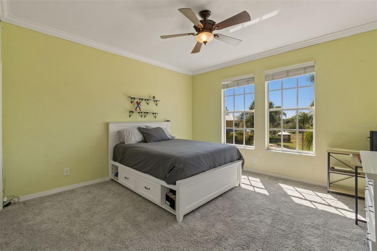 703 Bunker View Drive, Apollo Beach, FL 33572 Photo