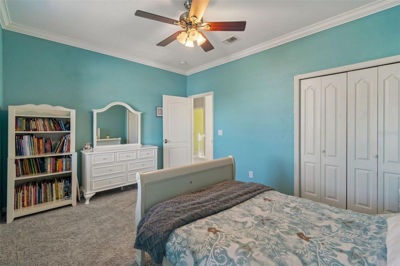 703 Bunker View Drive, Apollo Beach, FL 33572 Photo