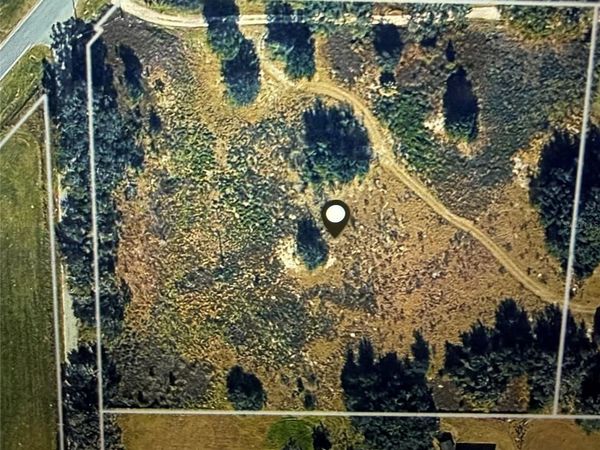 COUNTY RD 619 , BUSHNELL, FL 33513