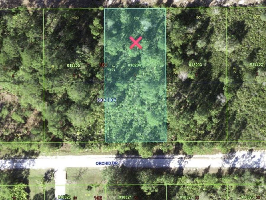 Property Image 6