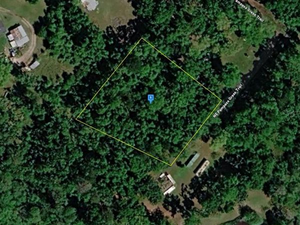 220 NE PAMPASS GRASS TRAIL , PINETTA, FL 32350