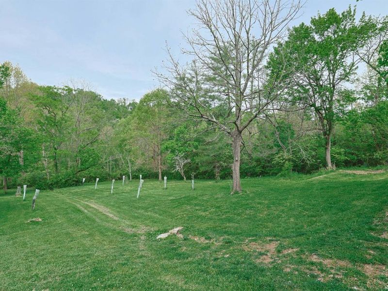 7528 E Miami River Road, Colerain Township, OH 45247 Photo 40