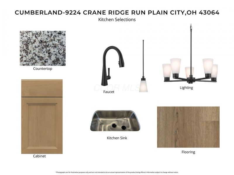 9224 Crane Ridge Run, Plain City, OH 43064 Photo 11