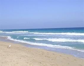 1421 S Ocean Boulevard, Unit 315, Pompano Beach, FL 33062 Photo