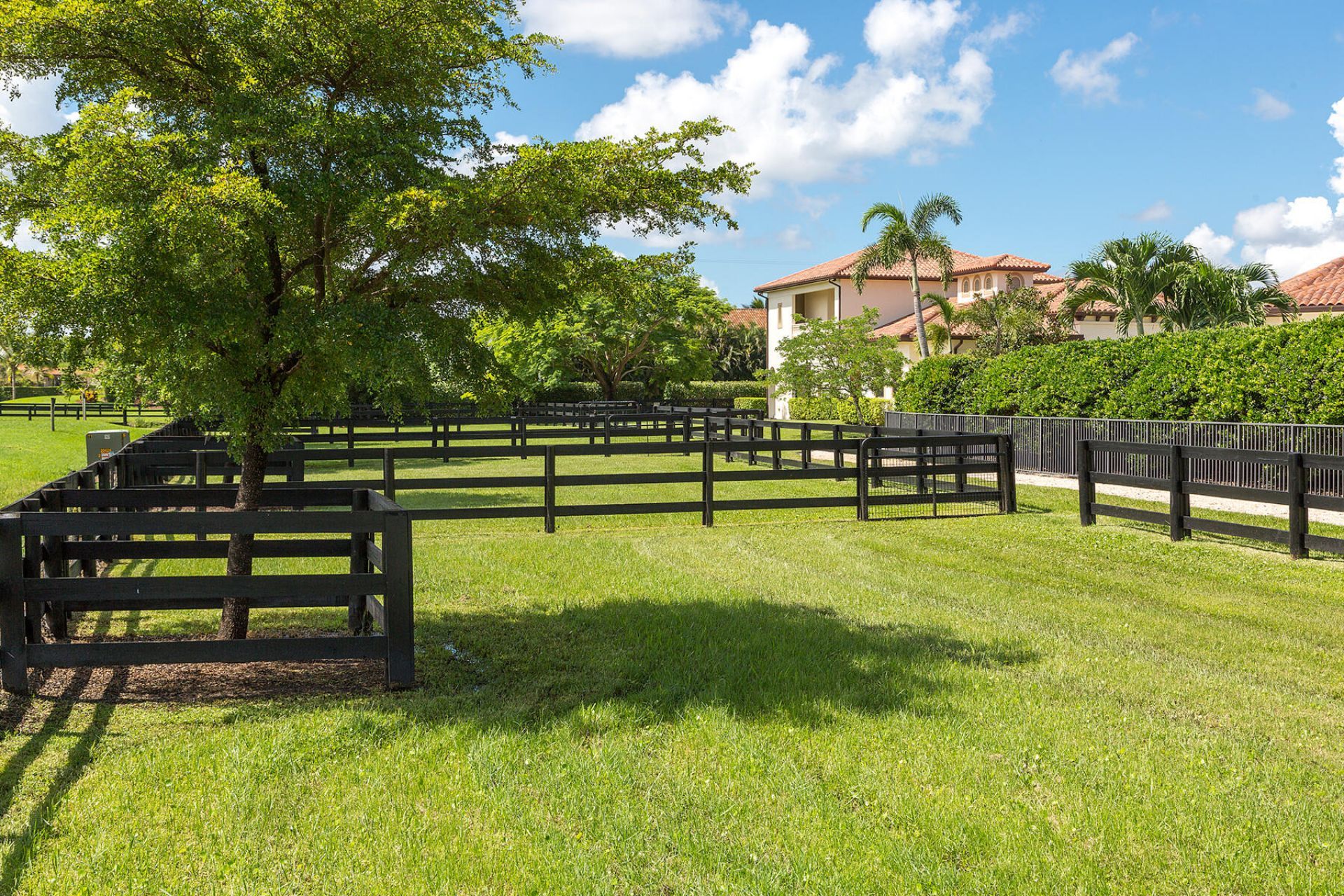 3310 Palm Beach Point Boulevard, Wellington, FL 33414 Photo