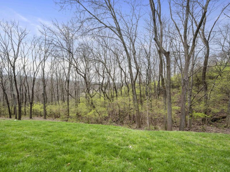 2041 Edenderry Drive, Fort Mitchell, KY 41017 Photo 39