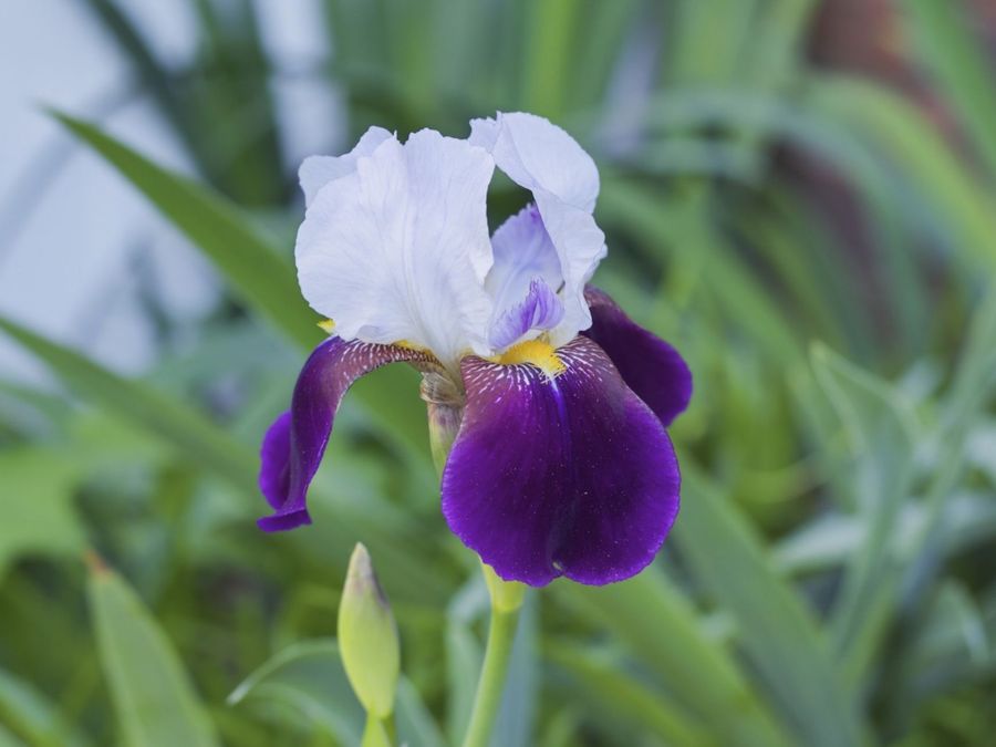 Property Image 56