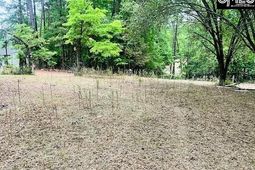 1172 Lake Drive photo 4