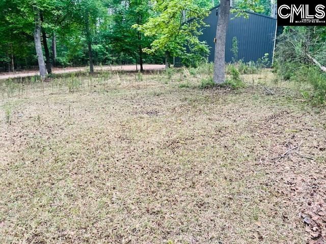 1172 Lake Drive Photo 4