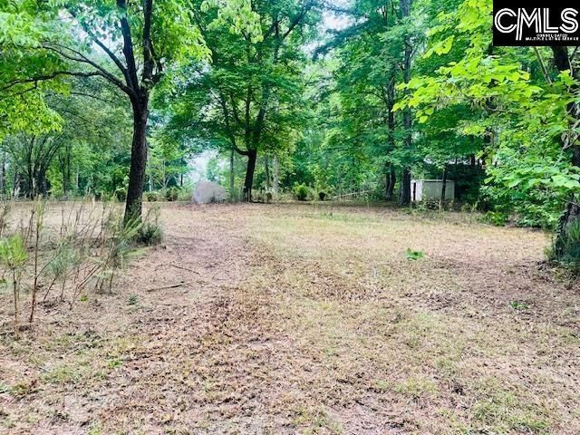 1172 Lake Drive Photo 6