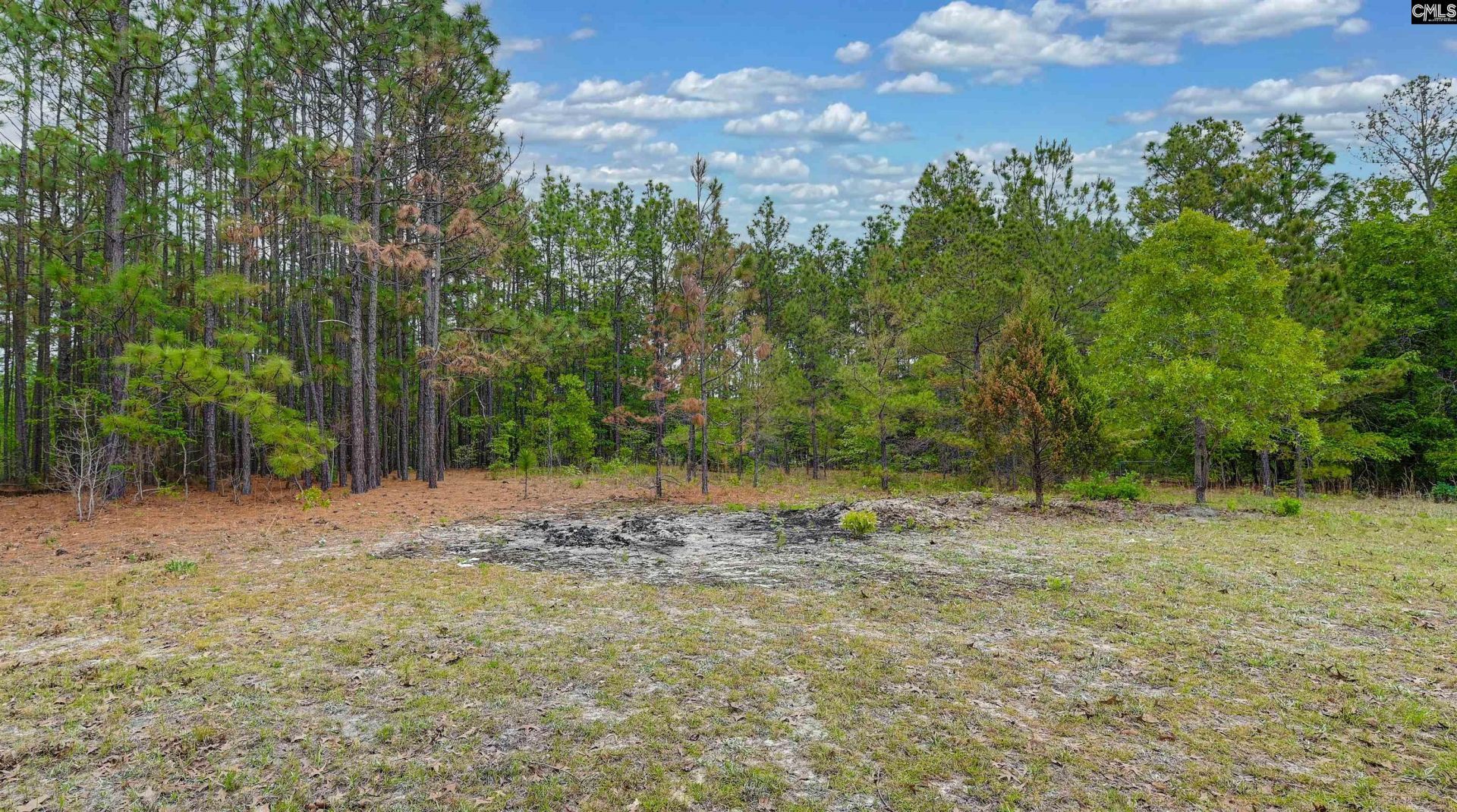 972 Gary Goff Road  Photo 10