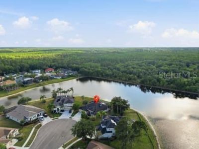 6113 Cognac Circle, Lutz, FL 33558 Photo