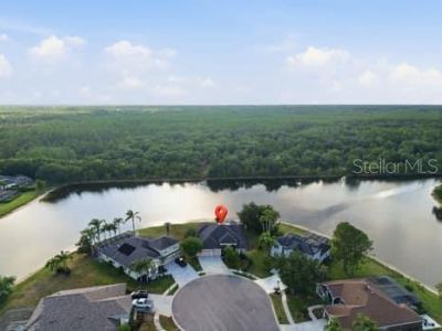 6113 Cognac Circle, Lutz, FL 33558 Photo