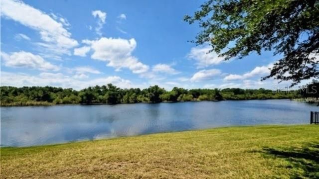 6113 Cognac Circle, Lutz, FL 33558 Photo