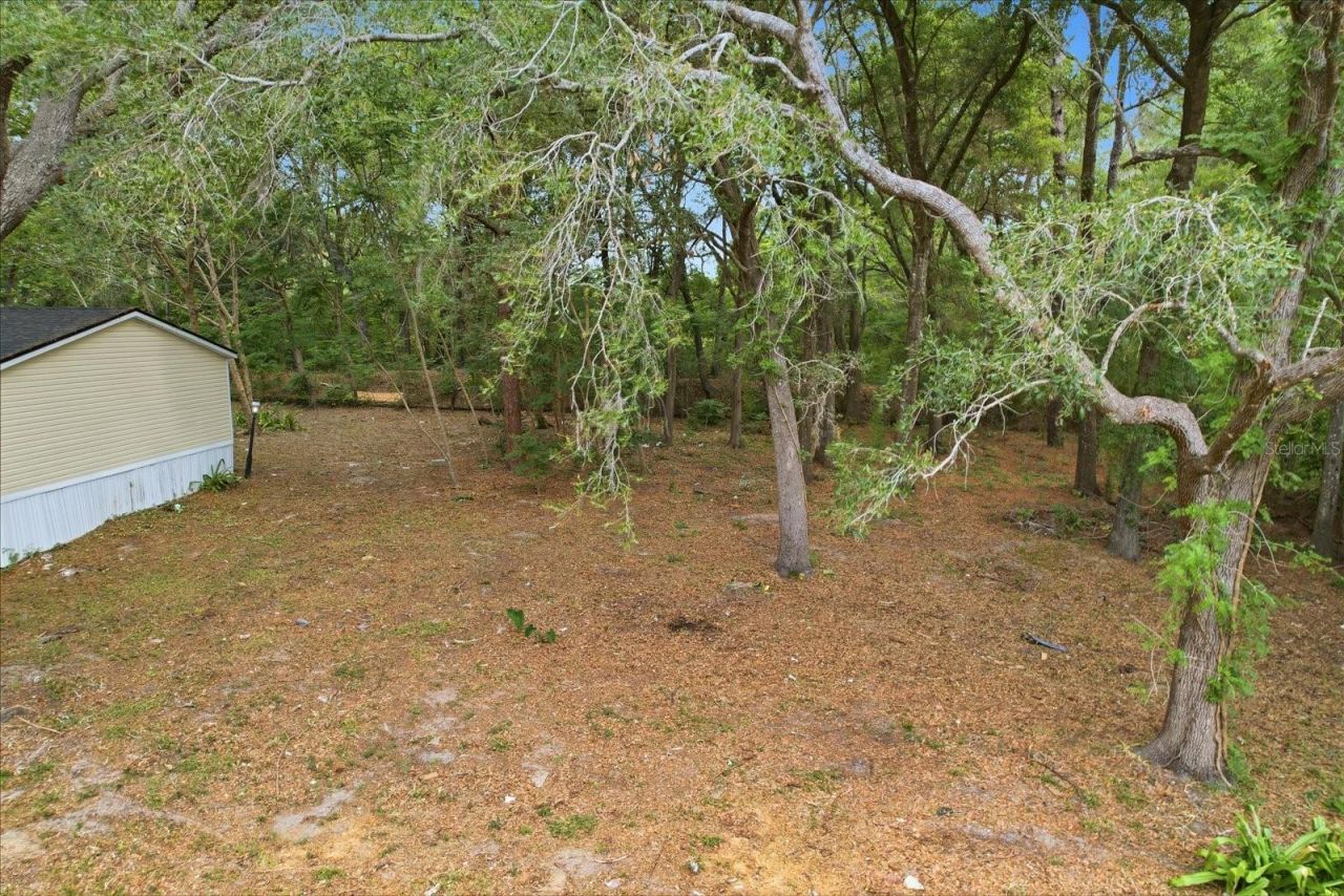 2565 E North Street, Inverness, FL 34453 Photo
