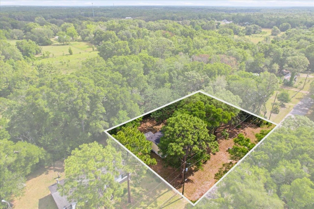 2565 E North Street, Inverness, FL 34453 Photo