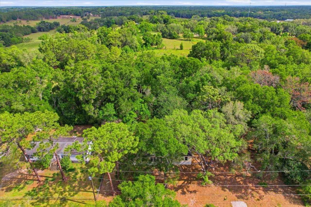 2565 E North Street, Inverness, FL 34453 Photo