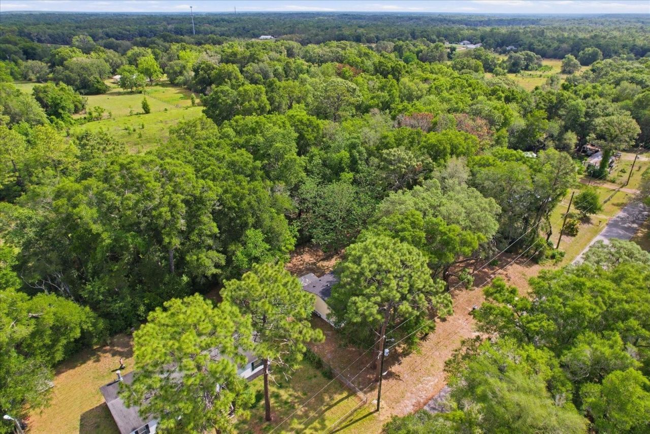 2565 E North Street, Inverness, FL 34453 Photo