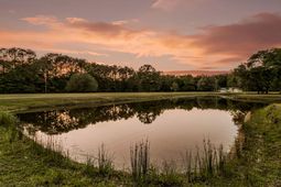 118 Saint Michaels Place photo 4