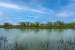 1614 Oak Island Drive Drive photo 4