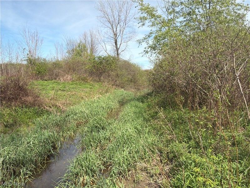 Oh-7, Williamsfield, OH 44082 Photo 11
