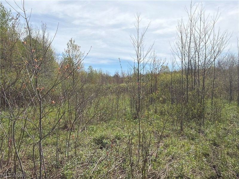 Oh-7, Williamsfield, OH 44082 Photo 12