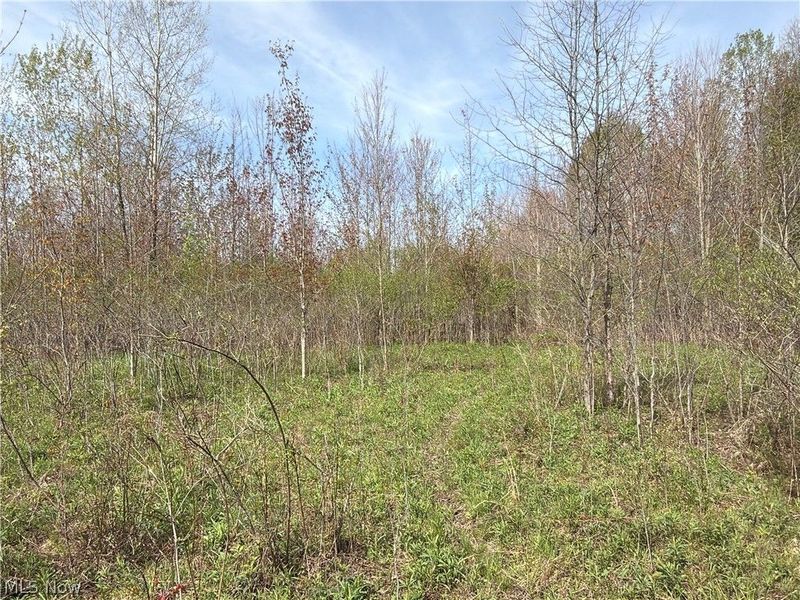 Oh-7, Williamsfield, OH 44082 Photo 13
