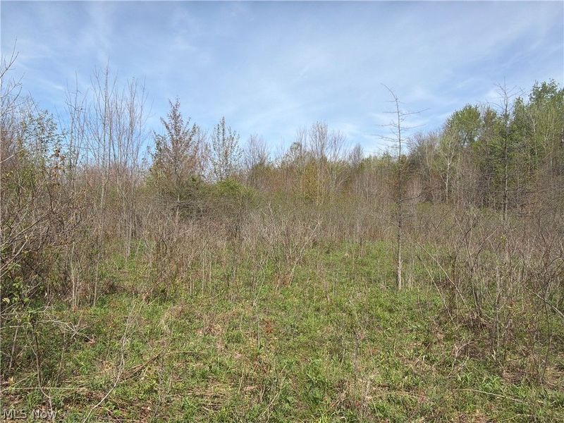Oh-7, Williamsfield, OH 44082 Photo 14