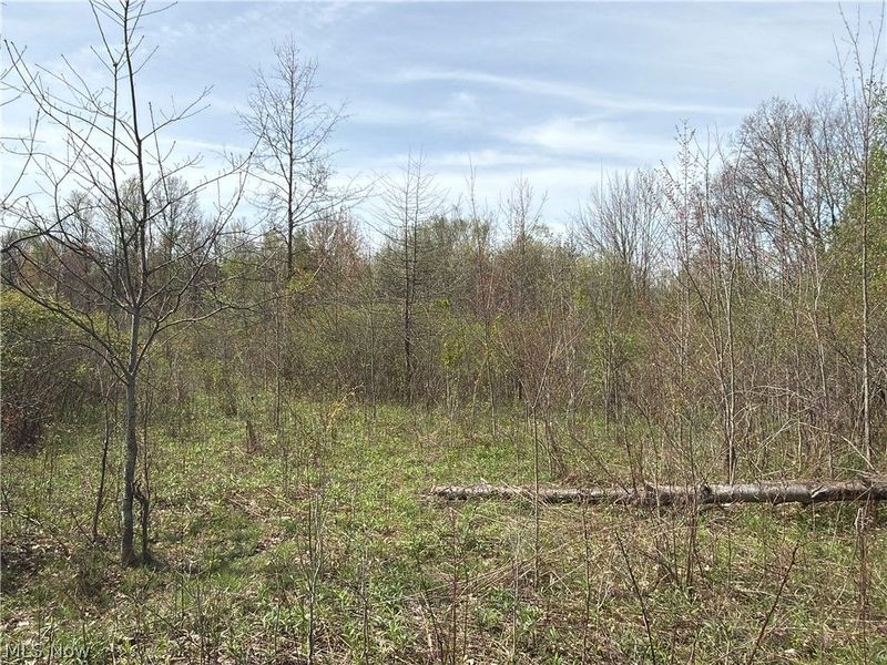Oh-7, Williamsfield, OH 44082 Photo 15
