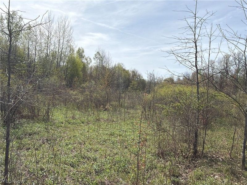 Oh-7, Williamsfield, OH 44082 Photo 16
